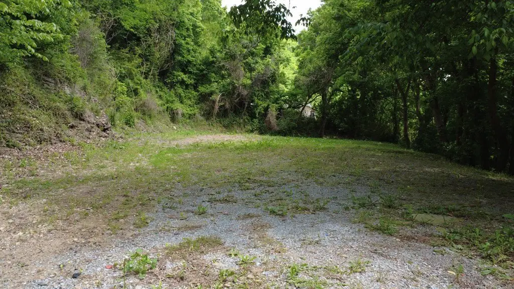 Picture 4