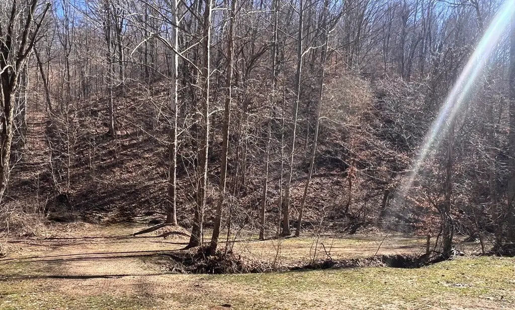 Picture 2
