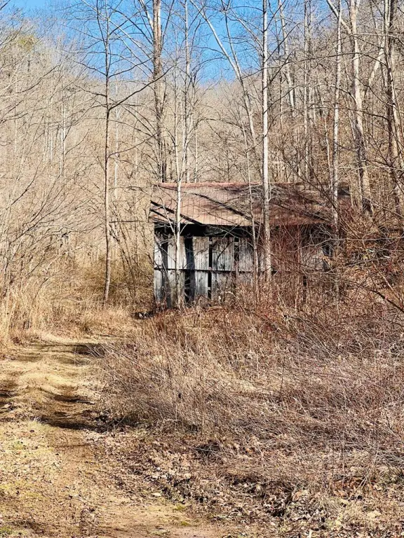 Picture 9