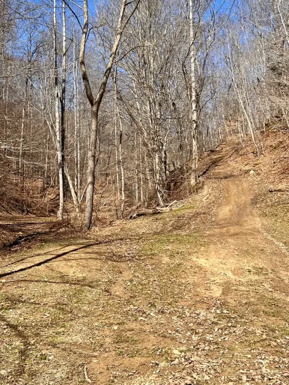 Picture 5