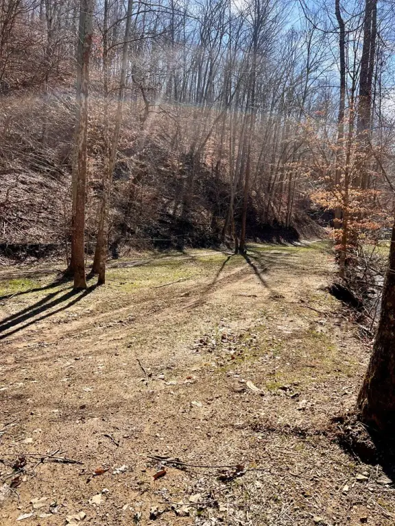 Picture 3