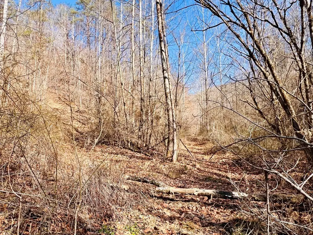 Picture 18