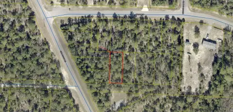 DeFuniak Springs Wooded Residential Lots