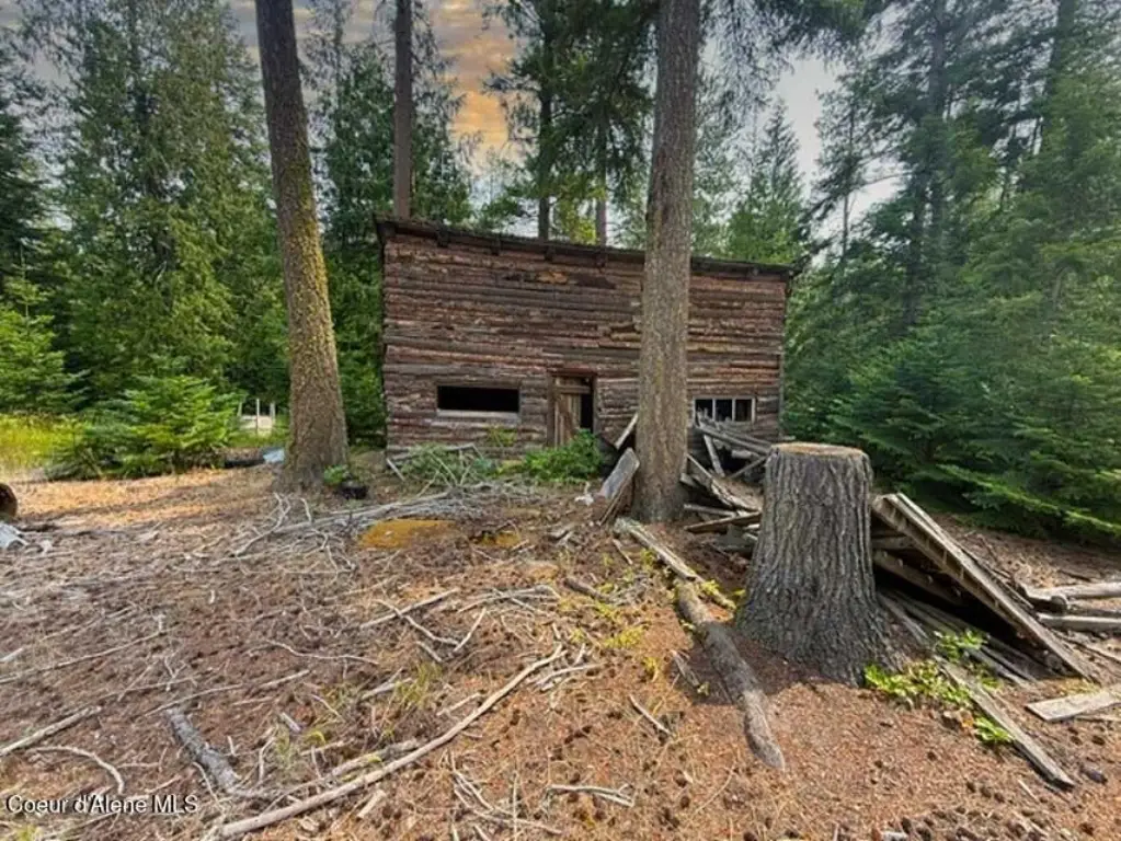 Picture 8