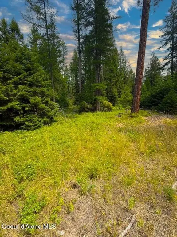 Picture 7