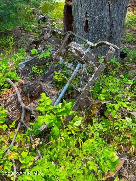 Picture 10