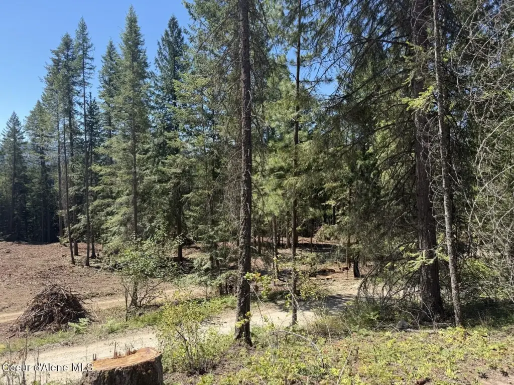 Picture 19