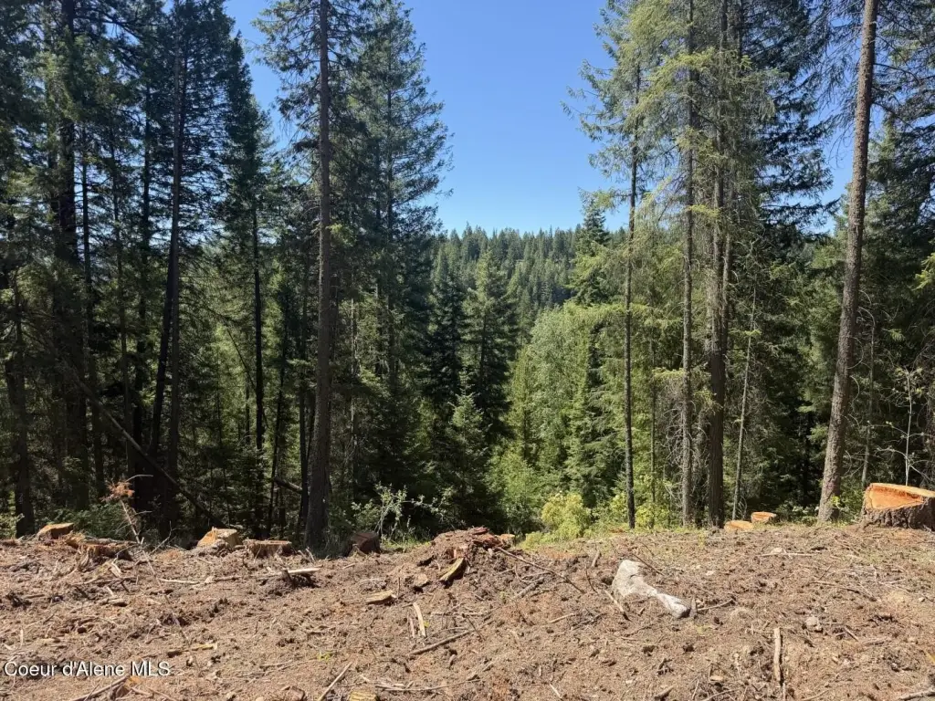 Picture 22