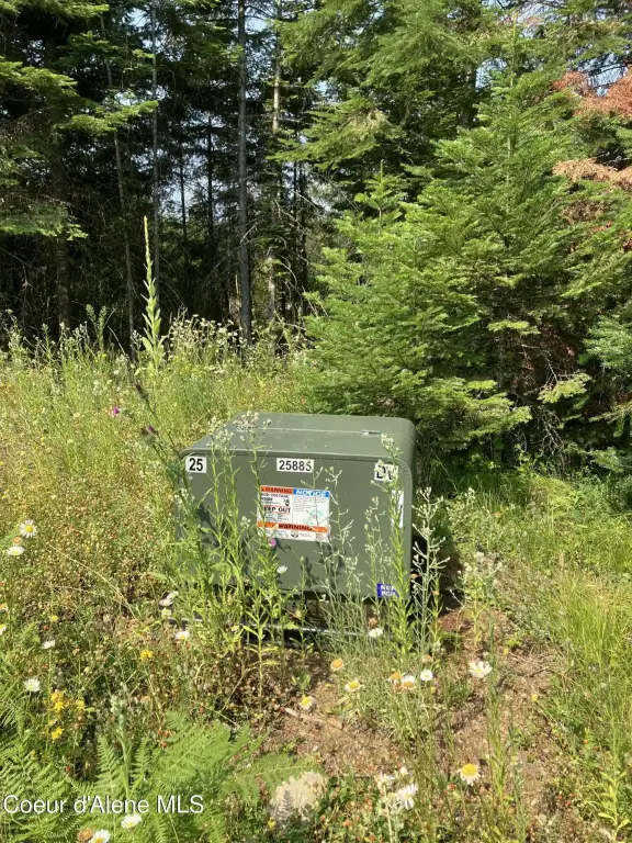 Picture 21