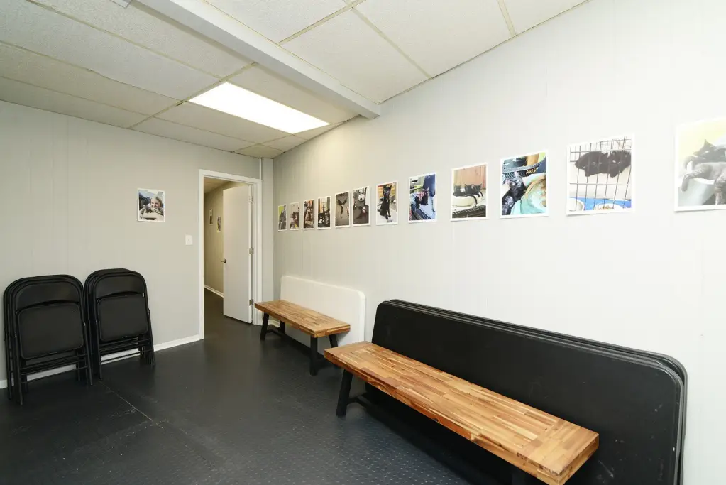 Picture 30