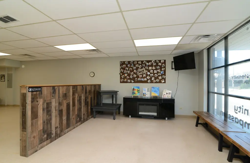 Picture 19