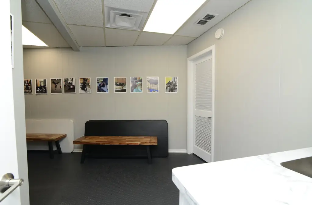 Picture 31