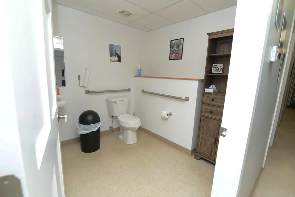 Picture 15