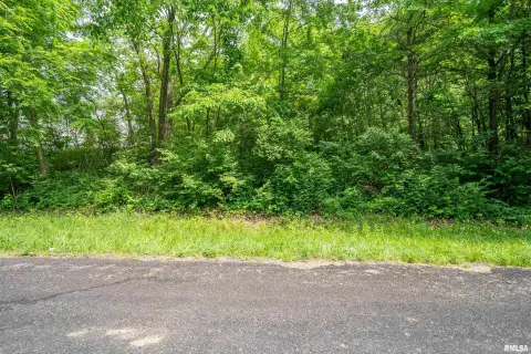 Residential Lot in Peoria, IL