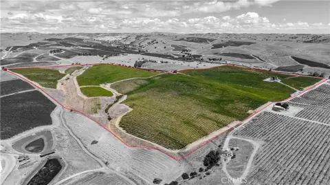 San Miguel Vineyard Opportunity