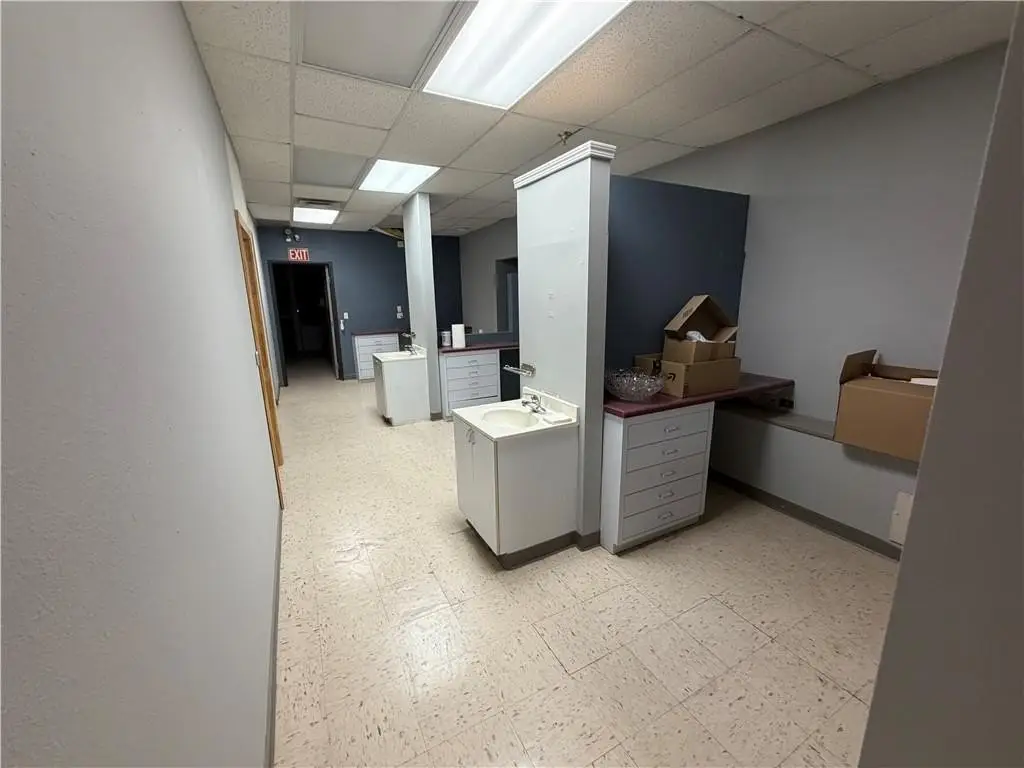 Picture 5