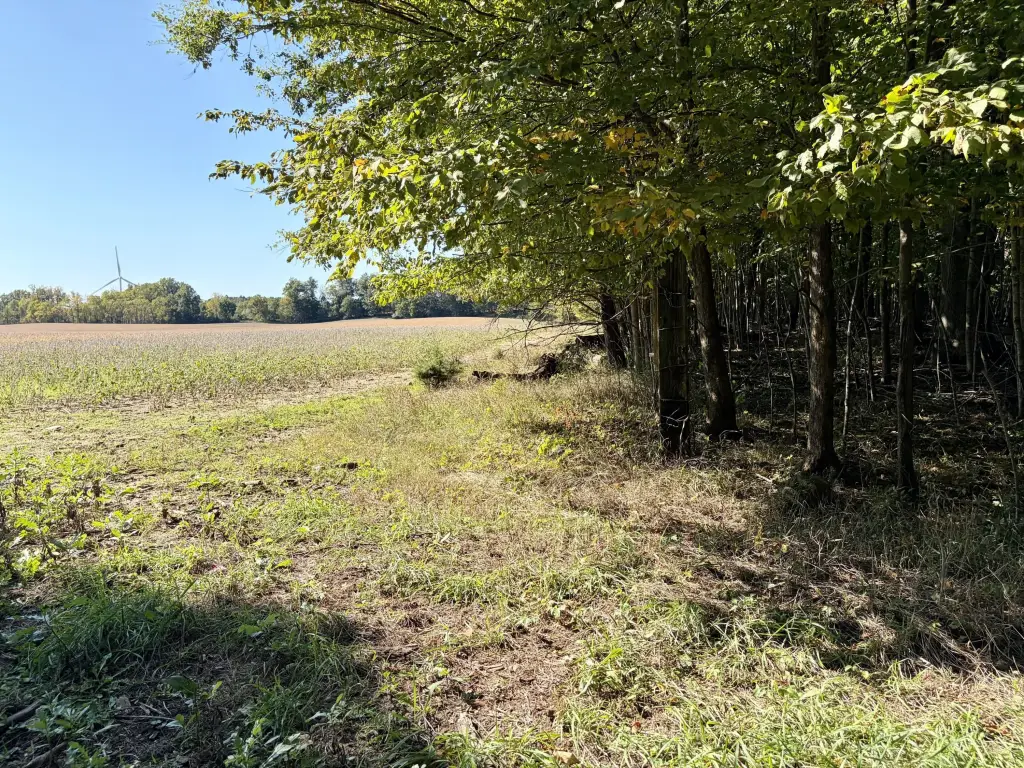 Picture 44