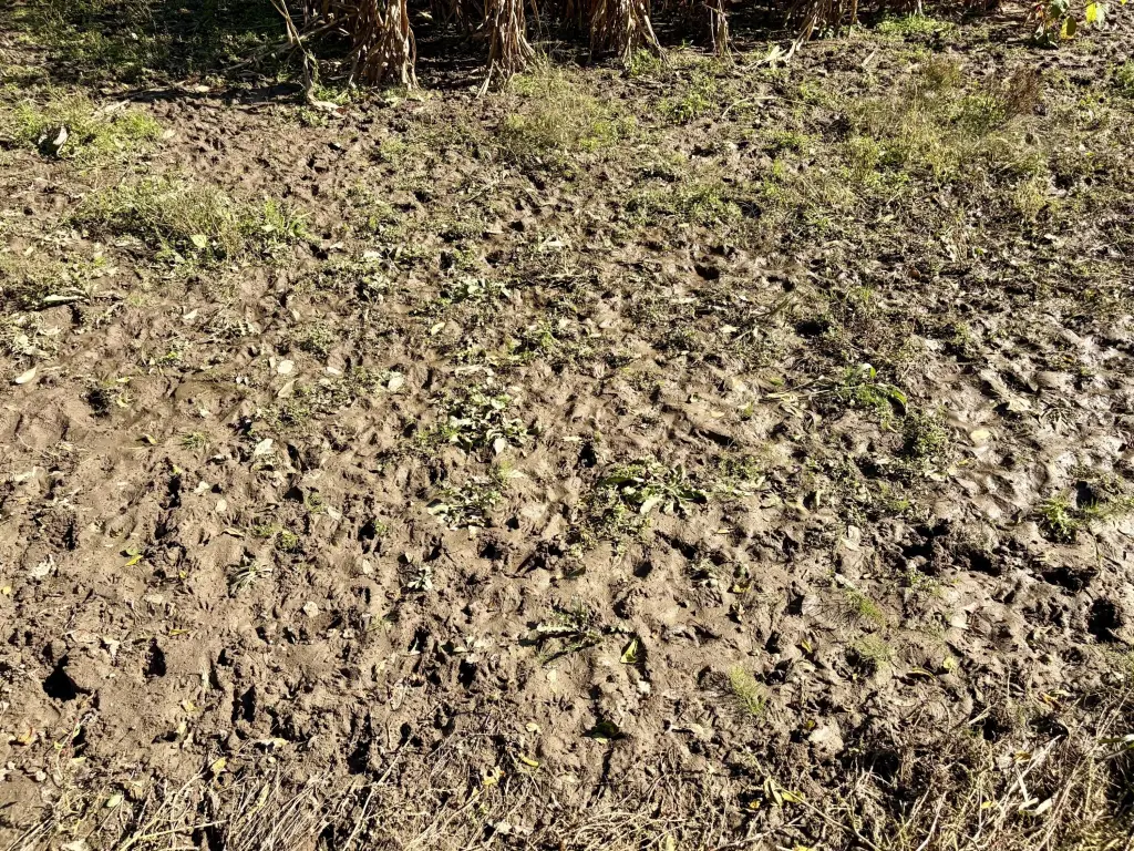 Picture 28