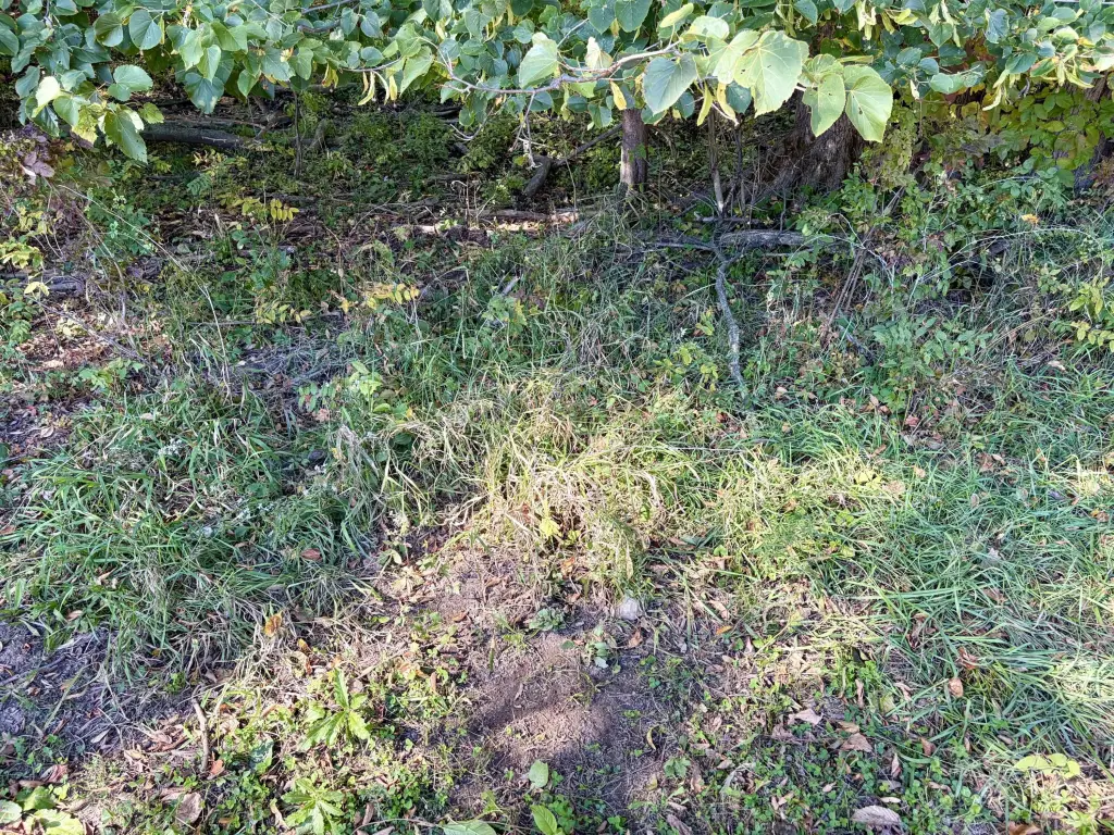 Picture 53