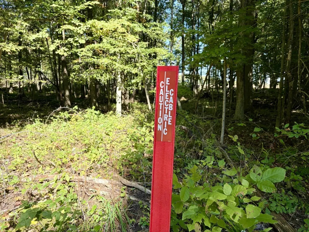 Picture 48
