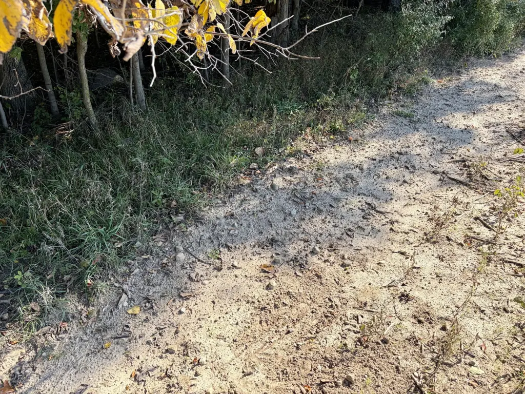 Picture 38