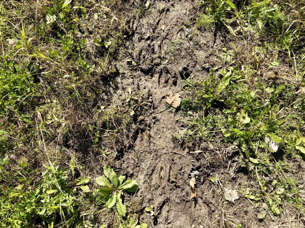 Picture 17