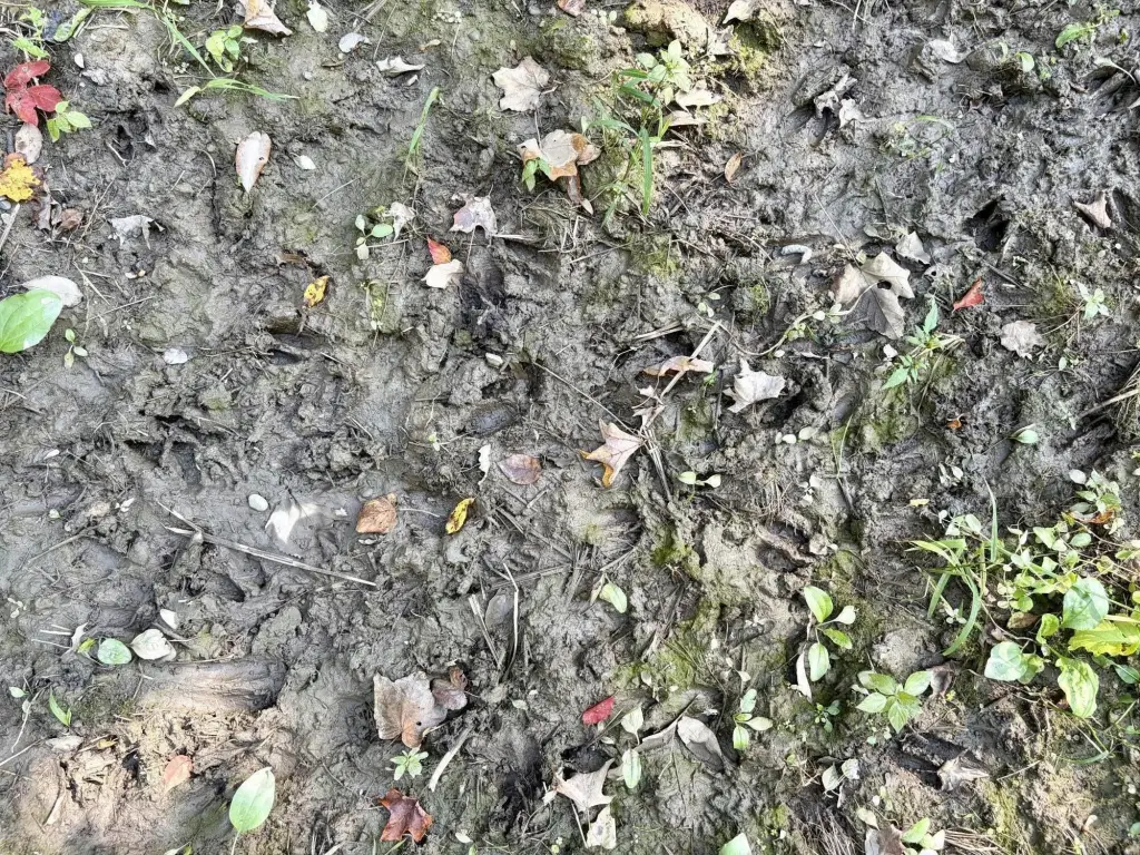 Picture 46