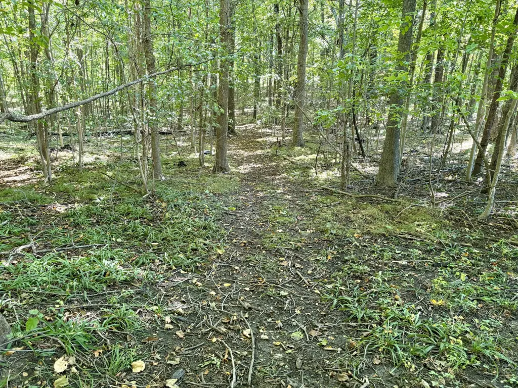 Picture 40