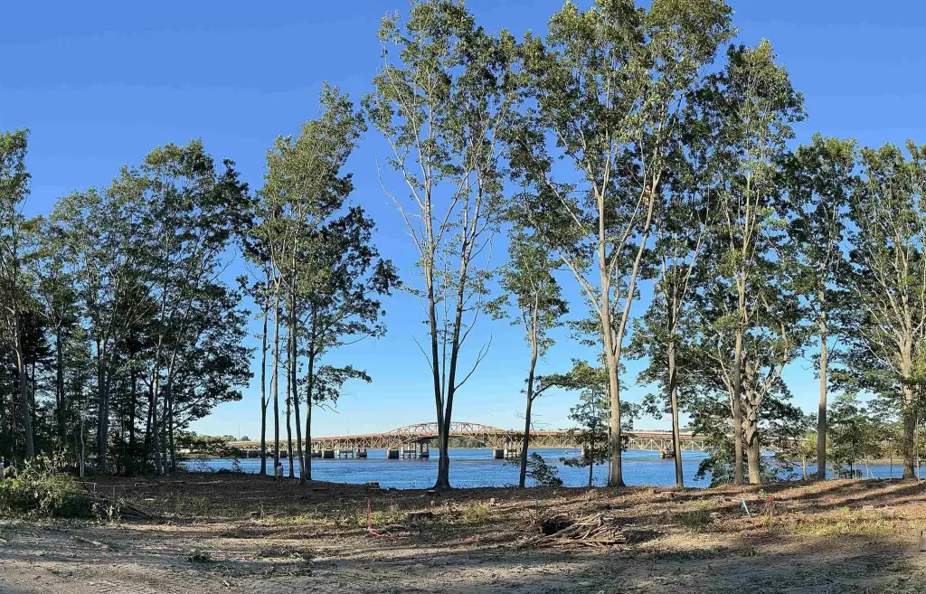 Picture 8