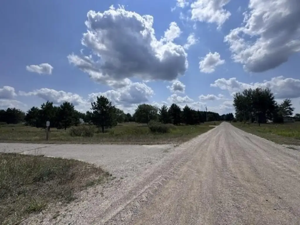 Picture 15