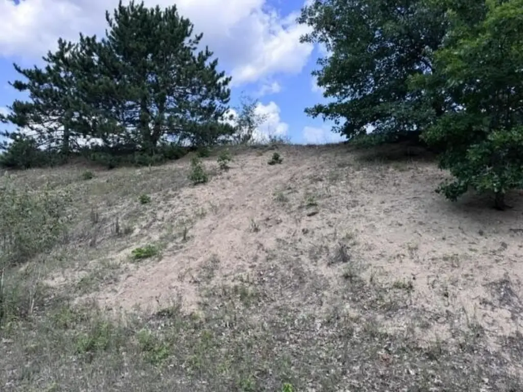 Picture 12