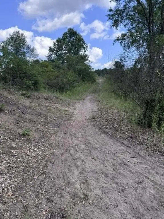Picture 4