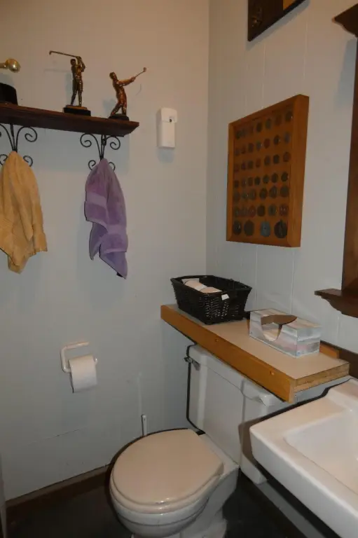 Picture 17