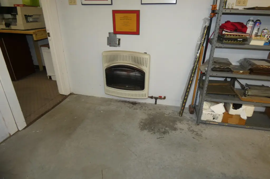 Picture 20