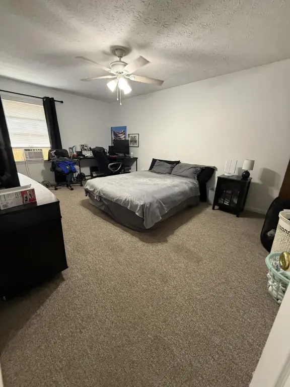 Picture 25
