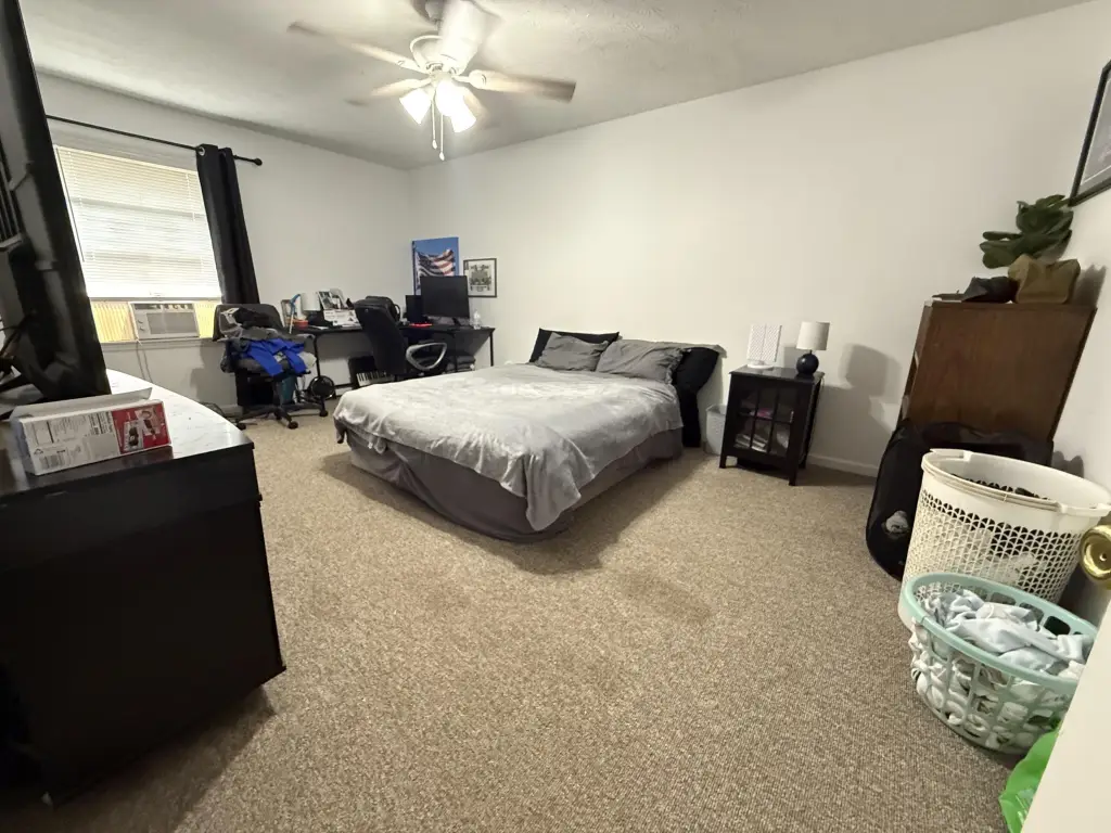 Picture 24