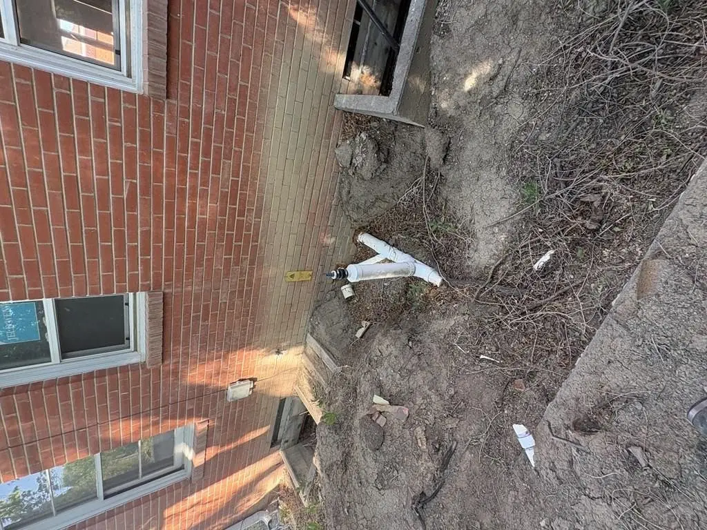 Picture 21