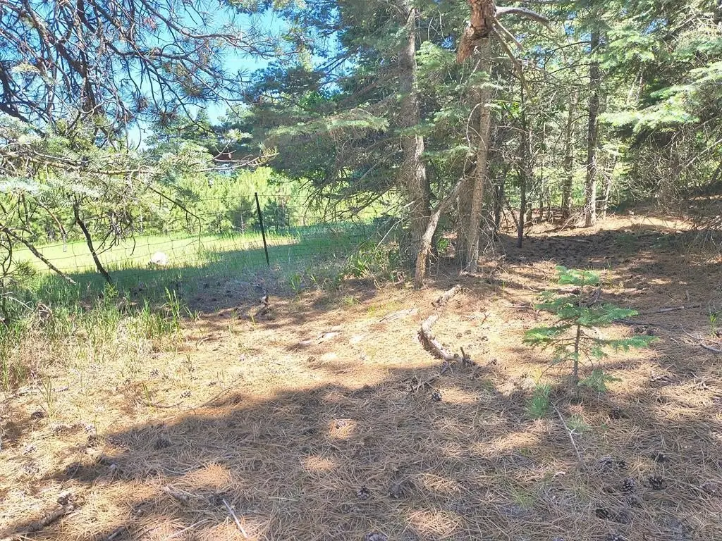 Picture 12