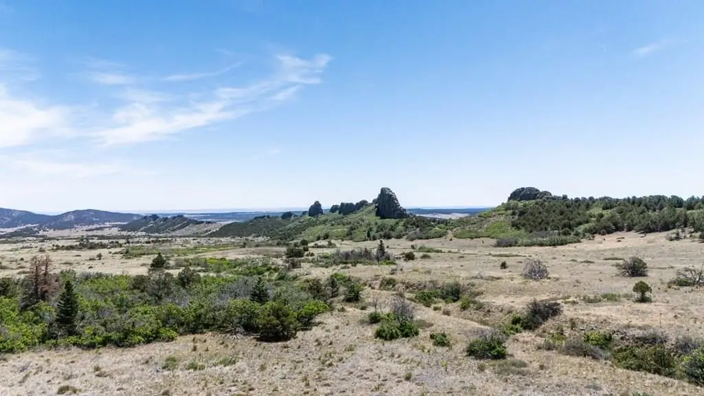 Picture 51