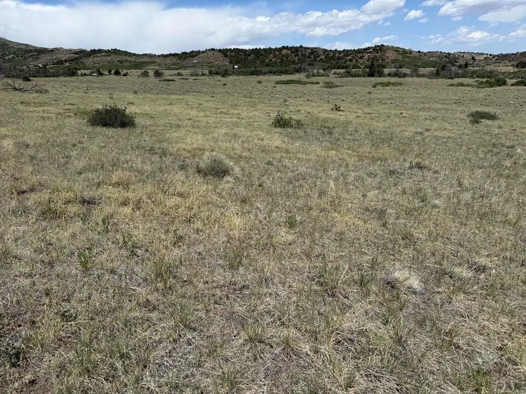Picture 41