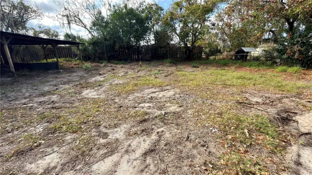 Picture 3