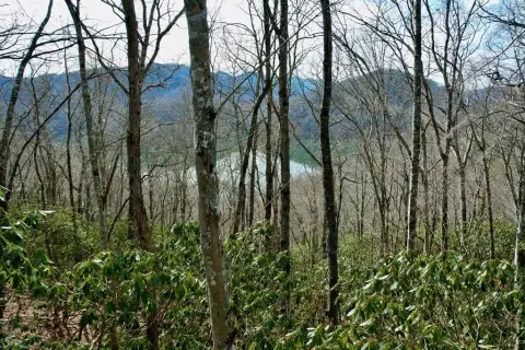 Nantahala Lake View Lot