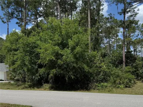 Residential Lot in Palm Coast