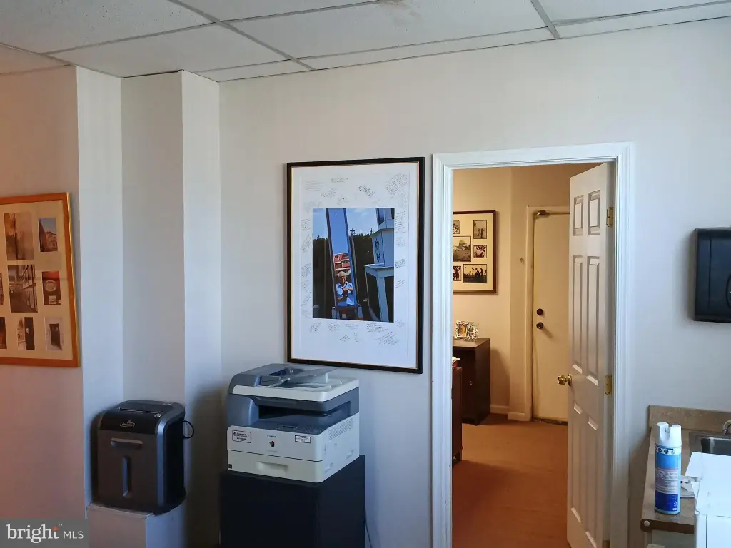 Picture 3