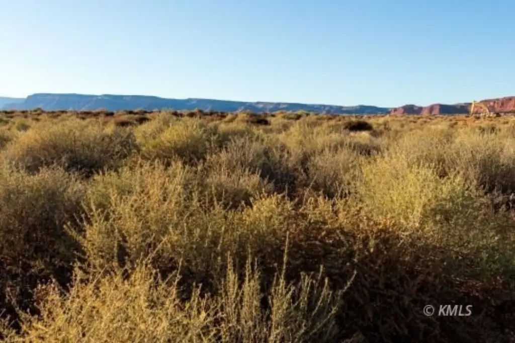Picture 7