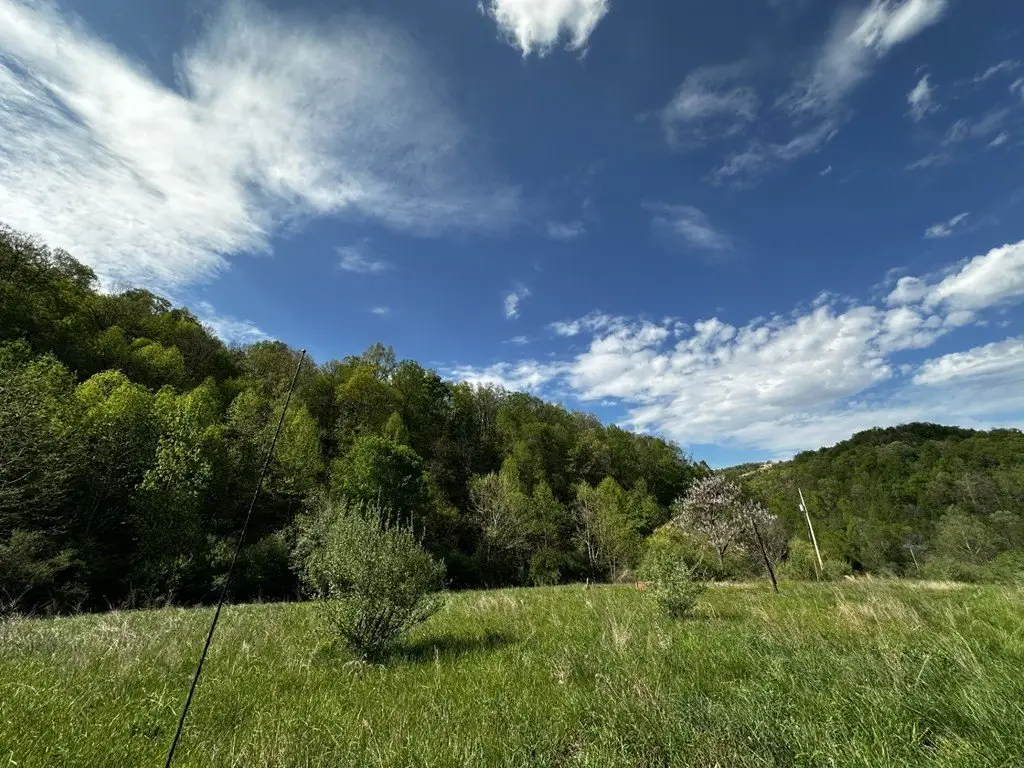 Picture 6