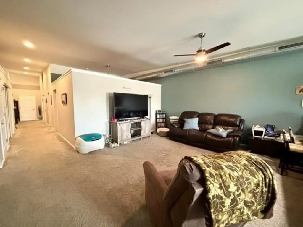 Picture 15