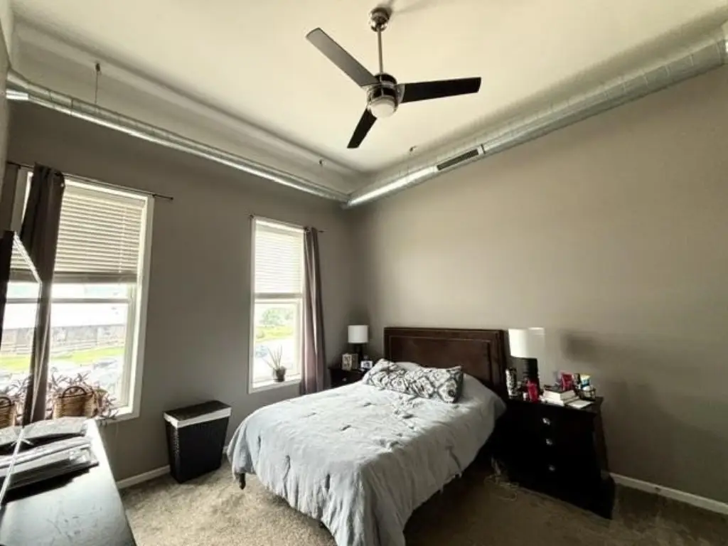 Picture 17