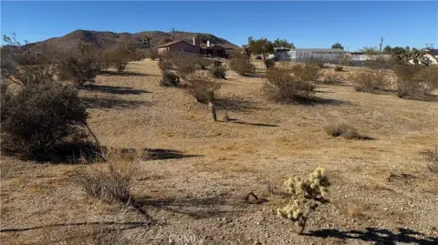 4.99 Acres Land in Yucca