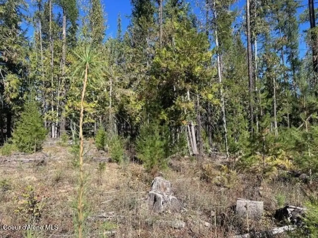 Picture 3